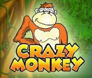 Crazy Monkey